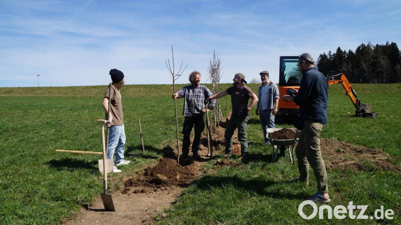 Die Nature Community pflanzt Bäume für eine Streuobstwiese. Bild: wel