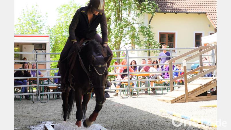 Beim Trailturnier ist Geschicklichkeit gefragt. Archivbild: Franz Völkl