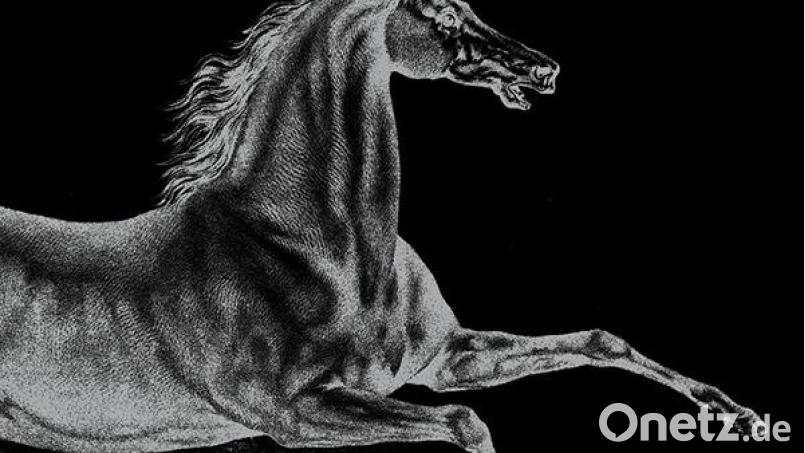 Mekons – Horror (Cargo) Bild: Cargo