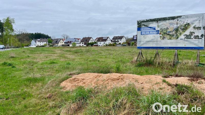 Auf dem Alia-Areal in Weiherhammer herrscht noch immer Stillstand. Nach Angaben der Projektverantwortlichen soll sich das bald ändern. Bild: Gabi Schönberger