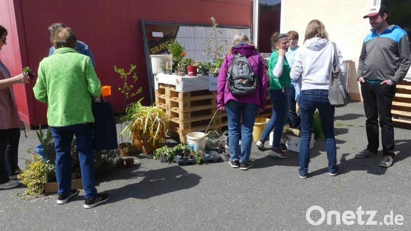 Das SCE-Gelände erhielt &quot;grüne Lunge&quot;. Bild: rn