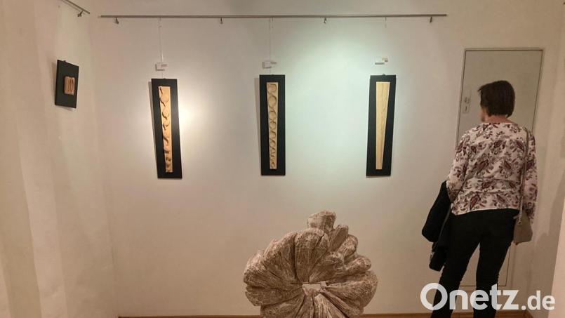 Die Ausstellung „Ich sehe was… und das ist…“ ist bis 28. Juli im Schmidt-Haus zu sehen. Bild: Edeltraud Scheuerer/exb