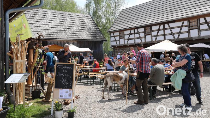 Frühjahrsmarkt im Freilandmuseum Oberpfalz. Bild: Eva Gröninger/exb