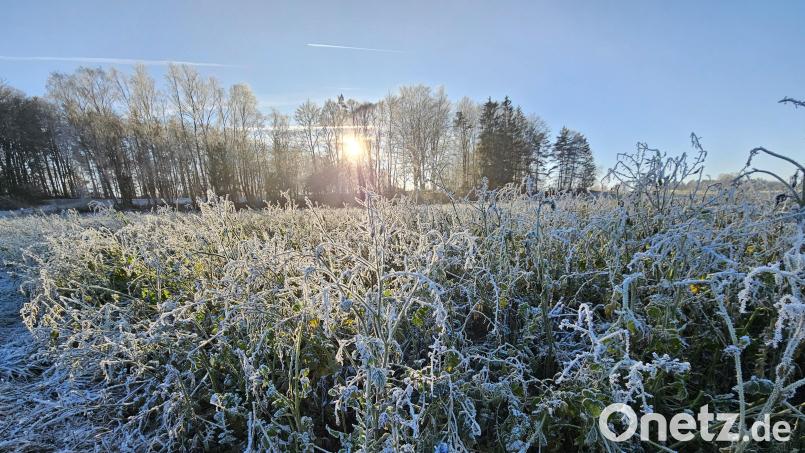 Winterlandschaft bei Illschwang an Weihnachten 2024. Herrlicher Sonnenschein lockte viele Spaziergänger in die Natur. Bild: blm