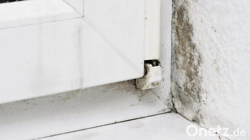 Feuchtigkeit in der Wohnung kann zur Schimmelbildung führen. Manchmal liegt die Ursache dafür an einem Fenstertausch. Symbolbild: Andrea Warnecke/dpa