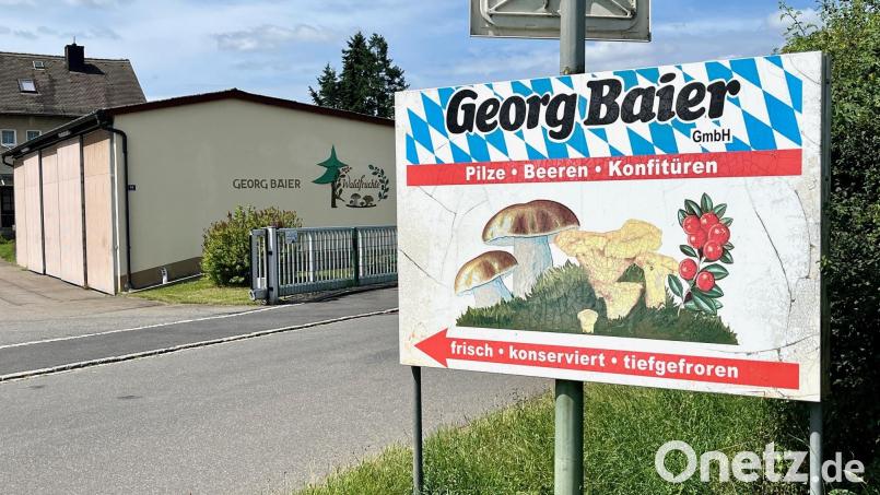 Pilze und Beeren gibt es hier weiterhin – auch wenn die Georg Baier GmbH aus Pressath Insolvenz angemeldet hat. Bild: Gabi Schönberger