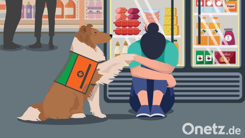 Assistenzhunde haben besondere Rechte. Mit dem Ausweis und der offiziellen Kennzeichnung begleiten sie ihre Menschen auch an Orte, für die andere Hunde keine Zutrittsrechte haben – zum Beispiel in Supermärkte. Grafik: Laura Fröhler