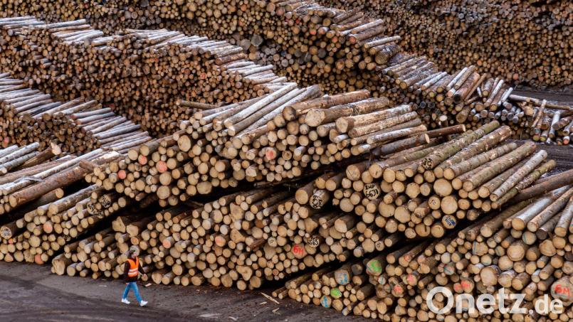 Holzstämme liegen auf dem Gelände des Sägewerks der Ziegler-Group in Plößberg. Archivbild: Armin Weigel/dpa