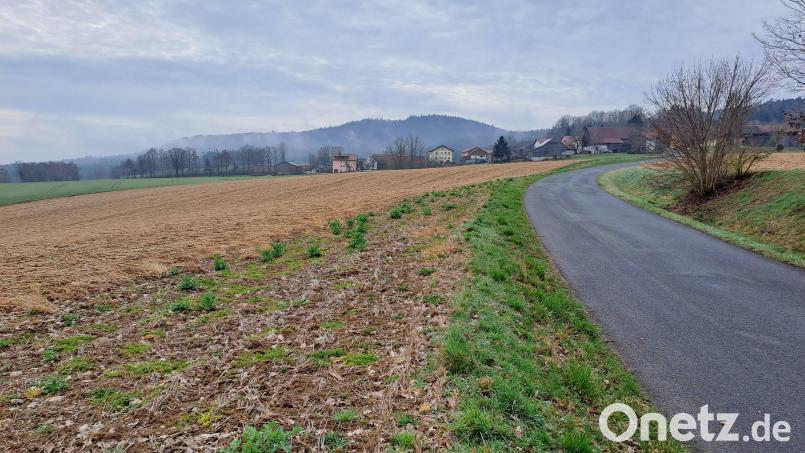 Zu beiden Seiten der GVS nach Berg soll der Solarpark Berg mit insgesamt 14 Hektar Fläche errichtet werden. Bild: Ingenieurbüro Blank/exb