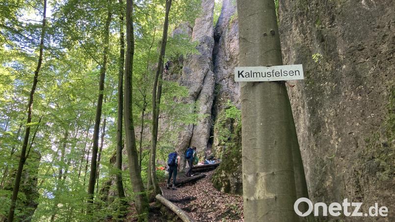 Der markante Fels mit den vorgelagerten Spitzen, der Kalmusfelsen, war Teil der vor- und frühgeschichtlichen Ringwallanlage Hainsburg. Bild: Stefanie Swann