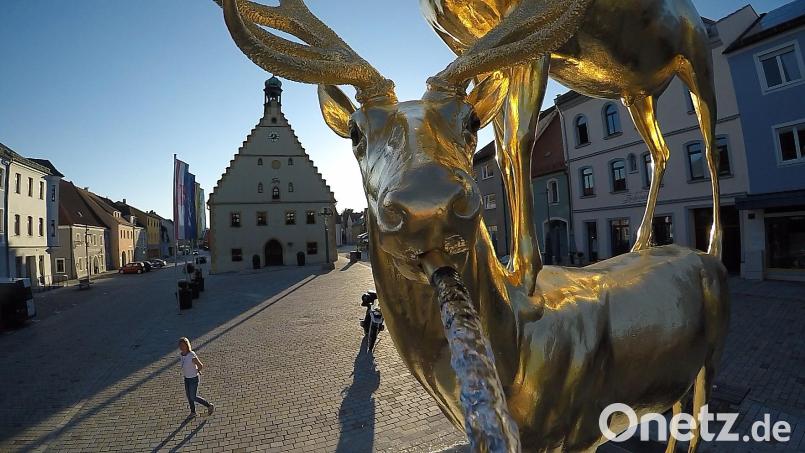 Von wegen Platzhirsch: In das Hirschauer Rathaus zieht schon bald ein neuer Chef ein. Archivbild: Alexander Unger