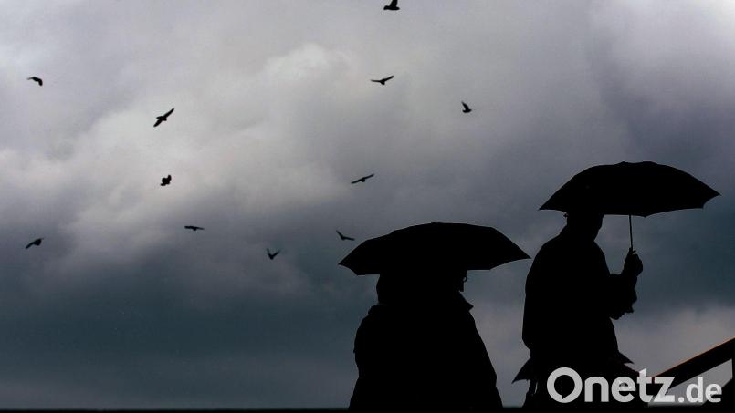 Am Wochenende wird es nasskalt und windig. Symbolbild: Oliver Berg/dpa