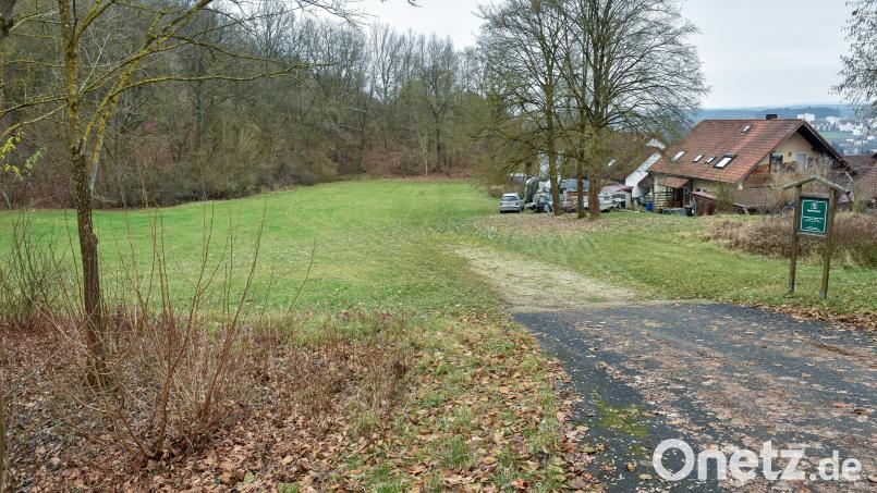 Um diese Wiese am Annabergweg geht es: Soll die als Bergsenkungsgebiet klassifizierte Fläche eingezäunt und zum Hunde-Übungsplatz umfunktioniert werden? Darüber wurde im Stadtrat diskutiert. Bild: Stephan Huber