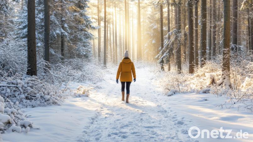 Ein Spaziergang im Wald ist auch jetzt im Winter eine gute Idee. Symbolbild: AZ Studio – stock.adobe.com