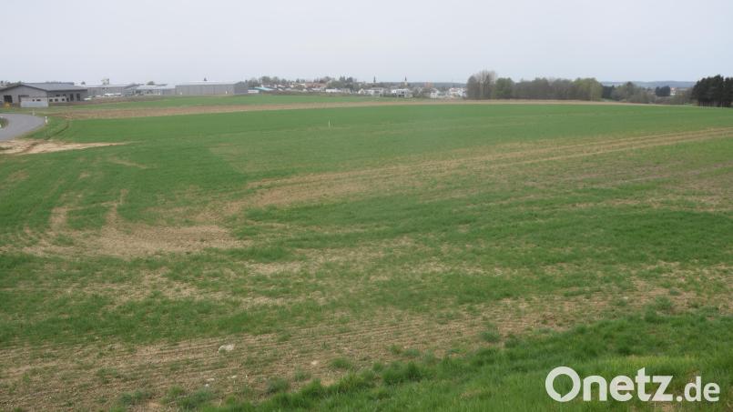 Blick vom Wasserhaus am Hütbrunnerweg Richtung Stadt, auf das neue Gewerbegebiet &quot;Ost BA II&quot;, für dessen Erschließung die Kosten auf 4,9 Millionen Euro geschätzt werden. Bild: fz