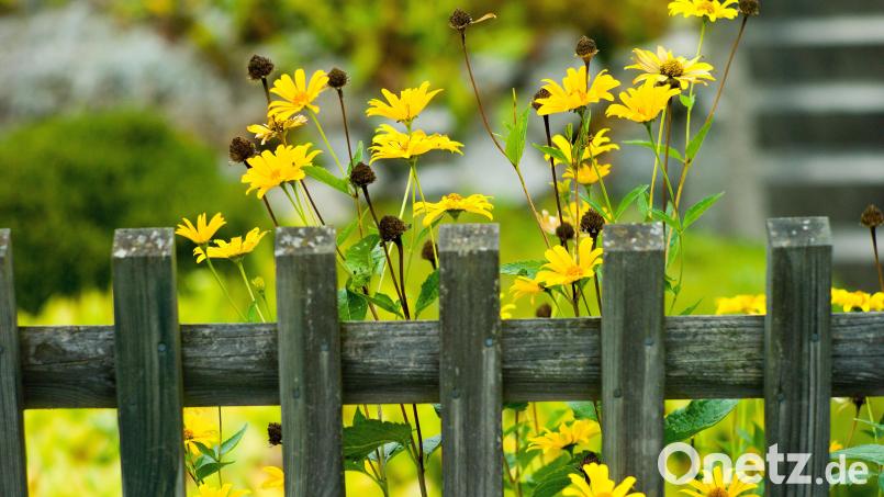 In Etsdorf ist ein Gartenzaun umgefahren worden. Bild: Maurizio Gambarini