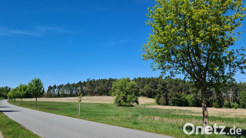 Idyllisch liegt das zukünftige Baugebiet Steinfelser Straße. Ein kommunales Wärmenetz wird es dort nun nicht geben. Bild: sne