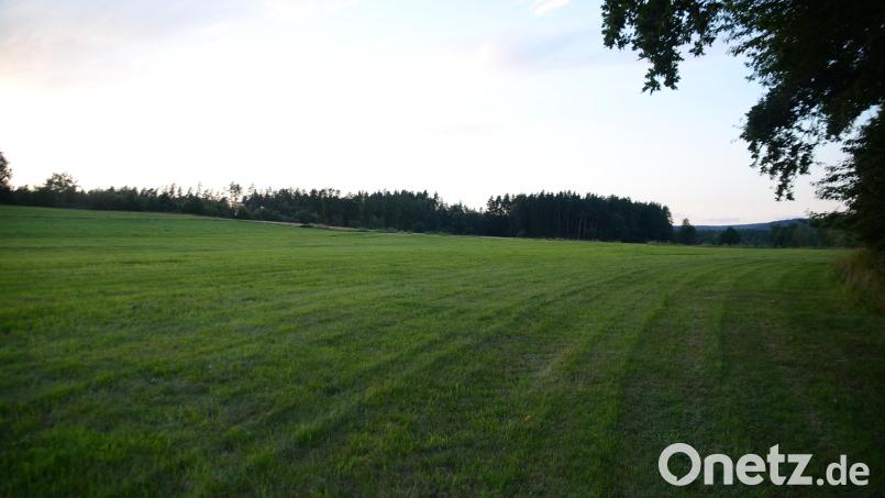 Der Bürgerentscheid zum Freiflächensolarpark in Haidenaab kann fortgesetzt werden. Im Bild das Grundstück für den Agri-PV-Solarpark bei Haidenaab. Bild: ak