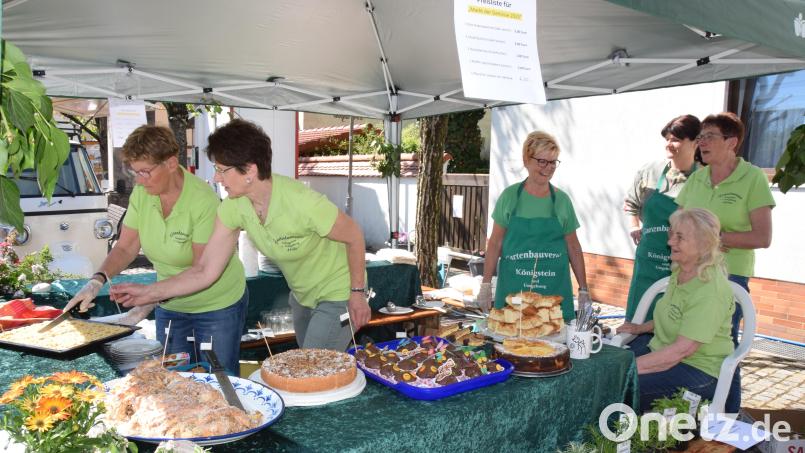 &quot;Eva und Marie&quot; hatten als &quot;Pflanzenduo des Jahres 2025&quot; eine große Nachfrage beim Gartenbauverein, ebenso die selbstgemachten Kuchen, die restlos ausverkauft waren. Bild: hdk