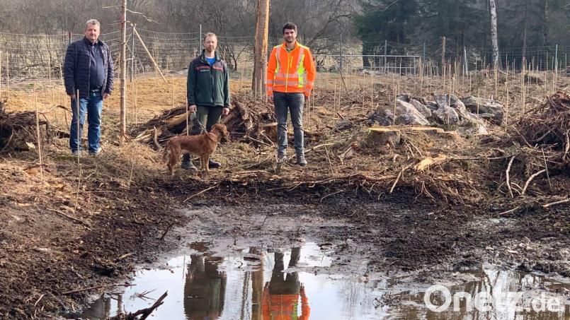 Der Waldumbau hat begonnen: Förster Michael Forster (Bildmitte) informiert Bürgermeister Reinhard Kreuzer (links) und Armin Ebnet vom technischen Bauamt (rechts) darüber. Bild: Nicole Rochelt/Stadt Schönsee/exb