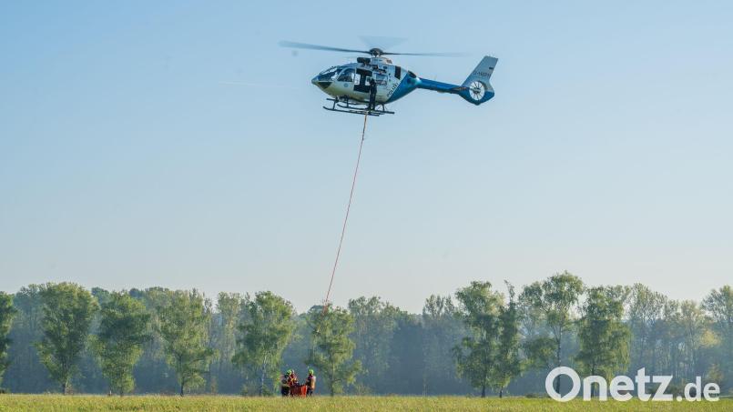 Beim Löschen eines Waldbrandes im Tennenloher Forst bei Erlangen sind nun auch Feuerwehrleute verletzt worden. (Archivbild) Bild: Ferdinand Merzbach/NEWS5/dpa