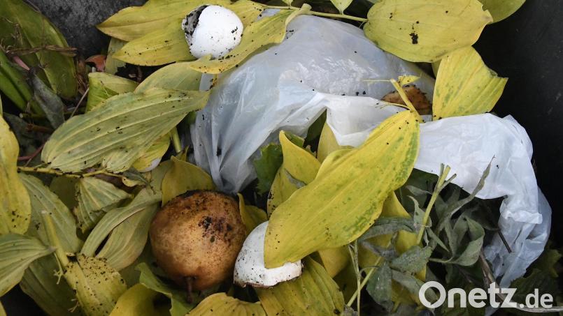 Finde den Fehler: Plastik hat im Bioabfall nichts zu suchen. Auch dann nicht, wenn es sich um biologisch abbaubare Folien handelt. Symbolbild: Petra Hartl