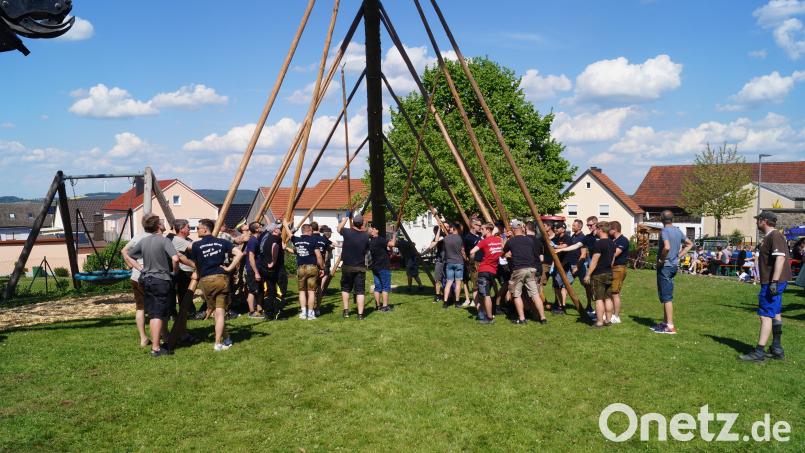Mit viel Muskelkraft wurde der 29 Meter lange Baum in die Verankerung hochgehievt. Bild: slh