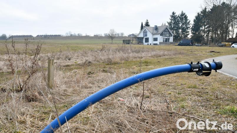 Auf diesem Grundstück an der Winterstraße in Amberg wird die neue Kindertagesstätte des Bayerischen Roten Kreuzes gebaut. Die Stadt Amberg hat ihre Vorarbeiten abgeschlossen, im Sommer sollen die eigentlichen Bauarbeiten beginnen. Bild: Petra Hartl