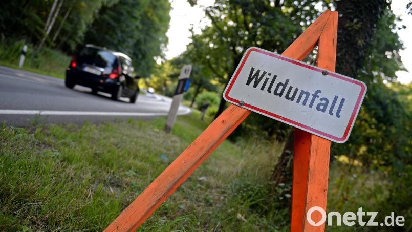 Ein Schild weist auf einen Wildunfall hin. Symbolbild Susann Prautsch/dpa