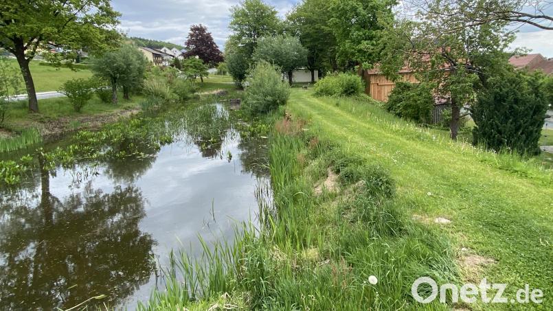 Wie geht es mit dem Brauweiher weiter? Das Problem ist der südliche Weiherdamm: Bei einem Gutachten wurde dessen Instabilität festgestellt. Bild: Josef Glas