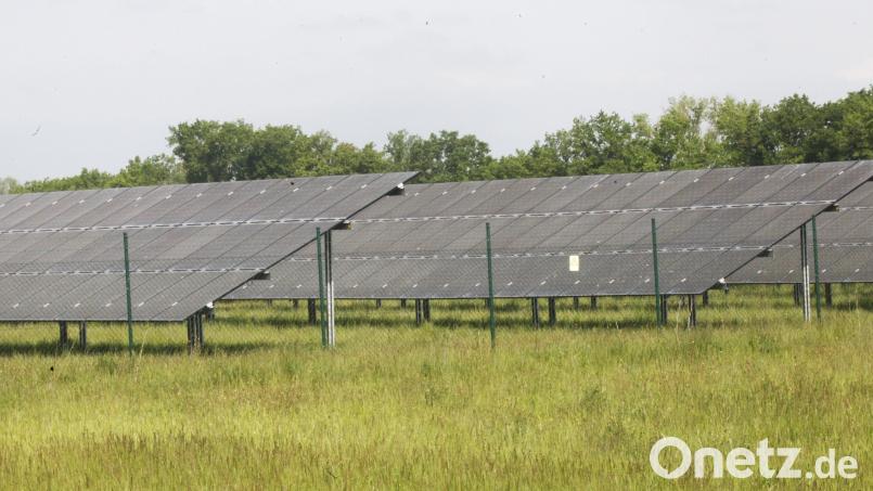 Im Stullner Ortsteil Geiselhof soll ein Solarpark mit einer Leistung von 25 Megawatt entstehen. Bild: Hirsch