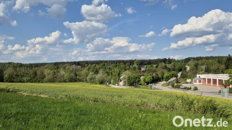 Noch blüht hier der Raps, doch ein Unternehmen aus Gräfelfing möchte auf diesem Grundstück an der Obermühle einen Batteriespeicher errichten. Bild: Lowak