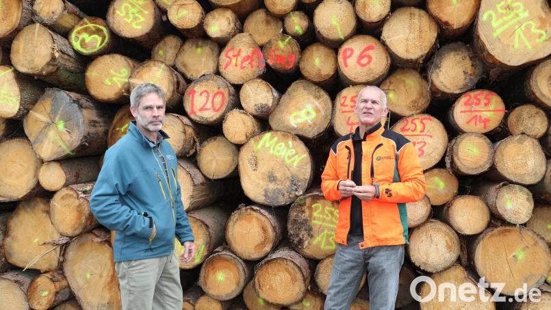 Das Holz sieht auf den ersten Blick besser aus, ist es aber nicht. Es taugt zum Beispiel für Paletten. Bild: Gerhard Götz