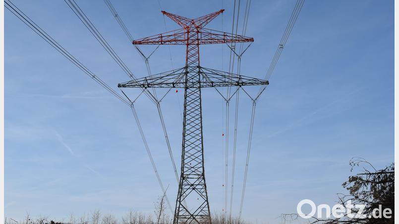 Bis zu einer Höhe von 80 Meter ragen die mächtigen Masten des Ostbayernrings in den Himmel. Jetzt soll in einem Abstand von rund 50 Meter die neue Bahnstromfernleitung errichtet werden, deren Masten halb so hoch sind. Bild: bnr