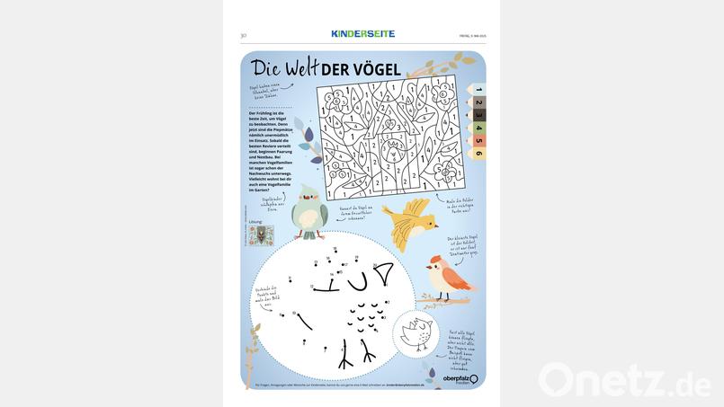 Malen und Knobeln Bild: Oberpfalz Medien