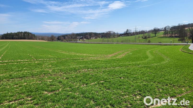 An der Staatsstraße zwischen Waldsassen und Konnersreuth– auf beiden Seiten der Verbindungsstraße nach Wolfsbühl (rechts) – soll eine große Freiflächen-Photovoltaikanlage entstehen. Hier der Blick in Richtung Waldsassen und Netzstahl – von der Stelle aus, an der das geplante Modulfeld enden würde. Bild: Stadt Waldsassen/exb
