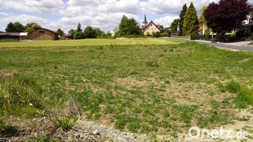 Im Juli könnten schon die Erschließungsmaßnahmen im neuen Baugebiet erfolgen. Interessenten für einige Bauparzellen haben sich bereit gemeldet. Bild: bkr