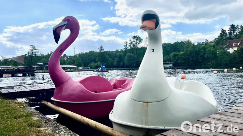 Flamingo oder doch lieber Schwan? Besucher des Freibads in Eschenbach können ab sofort wieder mit Paddelbooten auf dem Rußweiher fahren. Bild: Gabi Schönberger