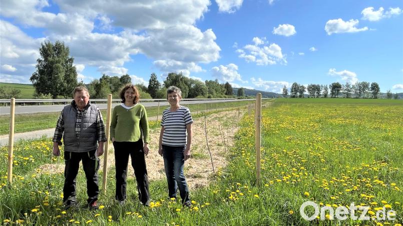 Die Beteiligten – das Ehepaar Cornelia und Herbert Schwamberger so wie Biodiversitätsberaterin Marianne Badura (Mitte) vom Amt für ländliche Entwicklung Oberpfalz – freuen sich über ein rundum gelungenes Projekt Bild: Kerstin Walch, ALE Oberpfalz