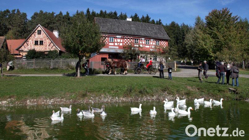 Im Oberpfälzer Freilandmuseum findet am 1. Juni der Schaftag statt. Archivbild: Gerhard Götz