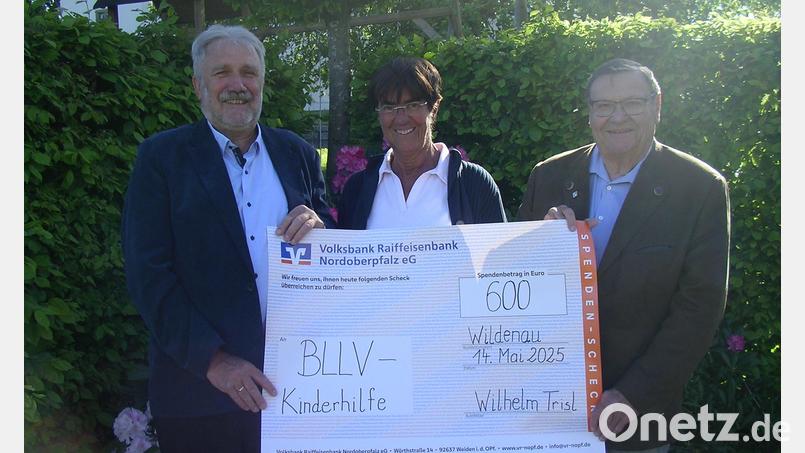Wilhelm Trisl, Ursula Schroll und Klaus Wendler (von links) bei der Spendenübergabe. Bild: Albert Schindlbeck