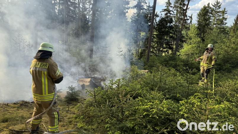 Dichtes Gestrüpp und abschüssiges Gelände erschwerten die Löscharbeiten und machten den Einsatz für die rund 120 Feuerwehrleute sehr mühsam. Weil es im Wald keine Hydranten gibt, musste das Löschwasser mit Tanklastern herangebracht werden. Bild: nza