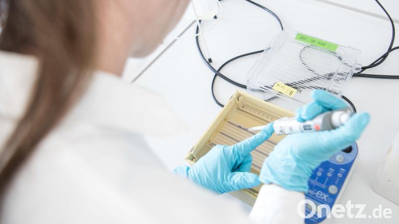 Die Förderung der MINT(Mathe, Informatik, Naturwissenschaft und Technik)-Fächer sind für eine spätere, berufliche Laufbahn sehr wichtig. Symbolbild: Sebastian Gollnow/dpa