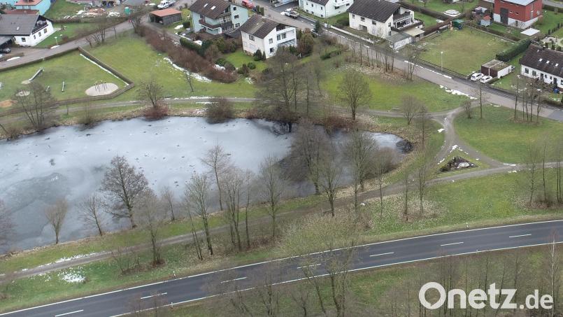Die Bebauung zweier Grundstücke am Herrnpointweiher waren der große Aufreger und führten zum Bürgerbegehren &quot;Rettet den Park&quot;. Der Stadtrat hat jetzt entschieden, dass die damals zur Diskussion gestandenen Grundstücke bebaut werden dürfen. Bild: bey