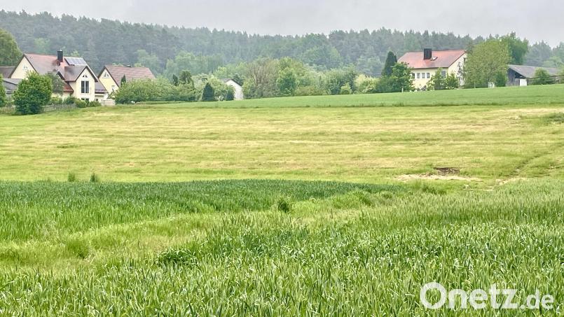 Für das Bebauungsgebiet Zierlohe in Seugast, hier ein Ausschnitt der Fläche, fordert das Wasserwirtschaftsamt ein Hochwasserschutzkonzept Bild: Gerhard Krones