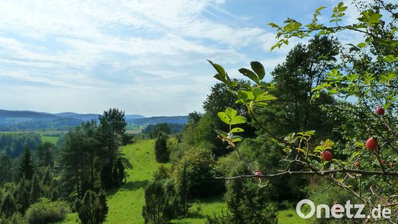 Der Naturpark Hirschwald zieht sich auch bis Hochholz bei Kastl. Bild: Andreas Gruber/Naturpark Hirschwald