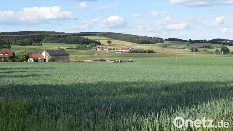 Südöstlich von Dietstätt (Gemarkung Weiding) soll eine &quot;Agri-PV-Anlage&quot; gebaut werden. Die ersten Verfahrensschritte wurden eingeleitet. Bild: bnr