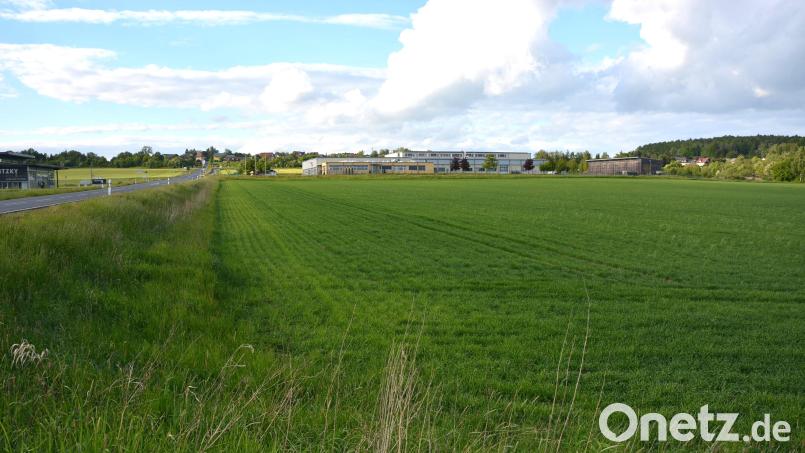 Die Freiflächen-Photovoltaikanlage „Auf der Konnsbergerin“ ist auf diesem rund 6,5 Hektar großen Grundstück geplant. Links im Bild die vorbeiführende Staatsstraße 2176, im Hintergrund das Backhaus Kutzer. Bild: jr