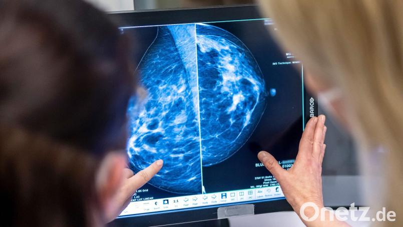 Nach der Diagnose Brustkrebs bricht für viele Frauen eine Welt zusammen. Die Selbsthilfegruppe &quot;Frauen nach Krebs&quot; hilft Betroffenen, wieder Boden unter den Füßen zu bekommen. Symbolbild: Hannibal Hanschke/dpa