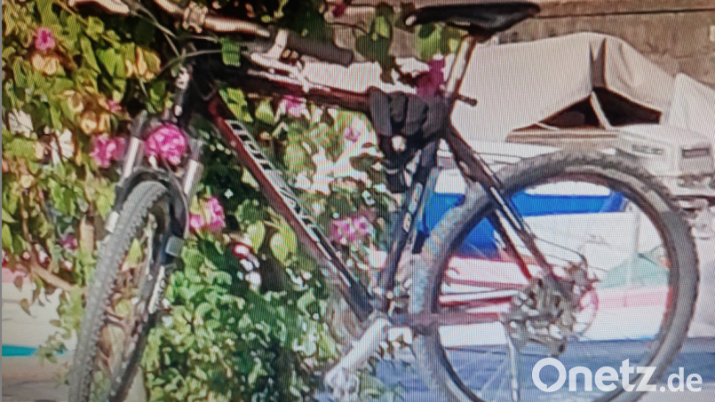 Ein 63-jähriger Mann meldet den Diebstahl seines Mountainbikes am Schwandorfer Bahnhof. Bild: Polizeiinspektion Schwandorf/exb